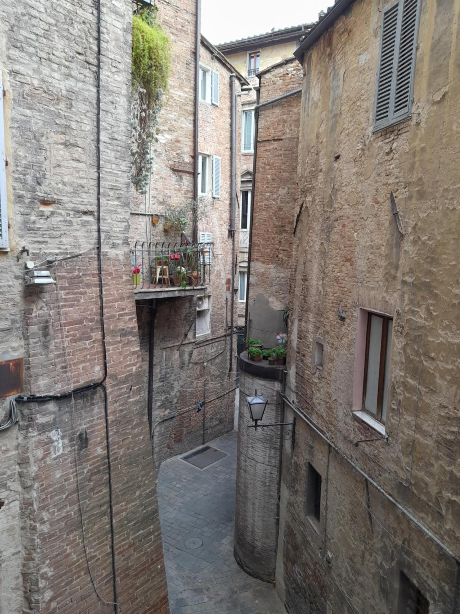 B&B Il Corso Siena Bagian luar foto